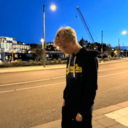 Vilmer Frost